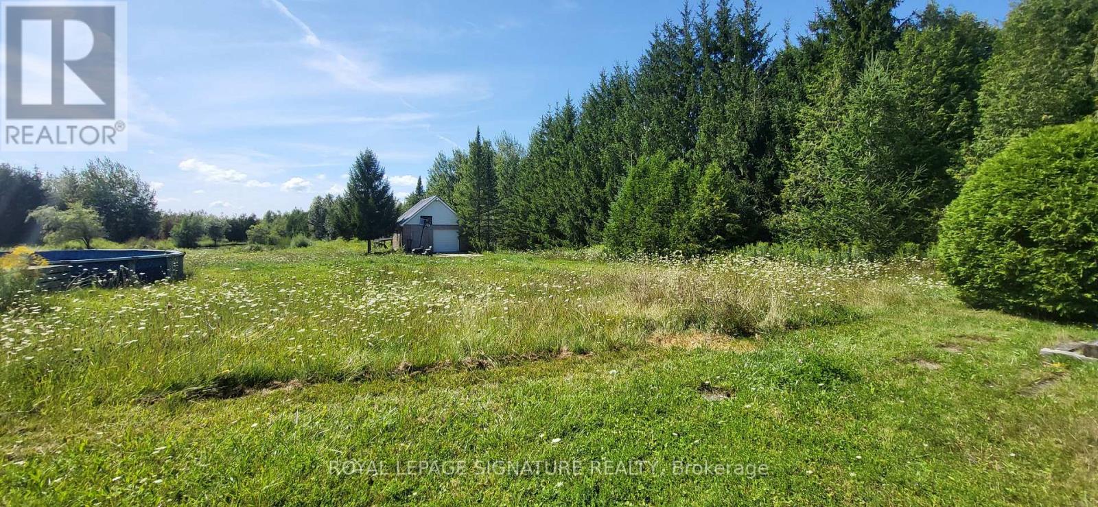 555178 MONO AMARANTH TOWNLINE - Image 23
