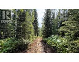 2434 Kettleston Road, Golden, BC V0A1H1 Photo 52