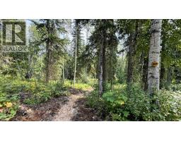 2434 Kettleston Road, Golden, BC V0A1H1 Photo 51