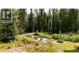 2434 Kettleston Road, Golden, BC V0A1H1 Photo 21