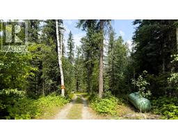 2434 Kettleston Road, Golden, BC V0A1H1 Photo 47