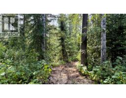2434 Kettleston Road, Golden, BC V0A1H1 Photo 50