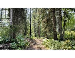 2434 Kettleston Road, Golden, BC V0A1H1 Photo 56