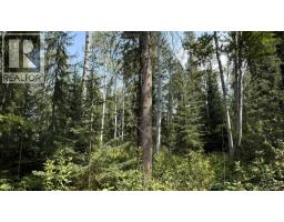 2434 Kettleston Road, Golden, BC V0A1H1 Photo 55