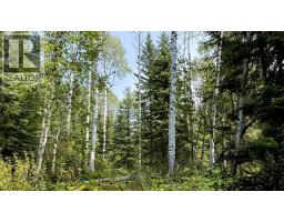 2434 Kettleston Road, Golden, BC V0A1H1 Photo 54