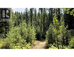 2434 Kettleston Road, Golden, BC V0A1H1 Photo 57