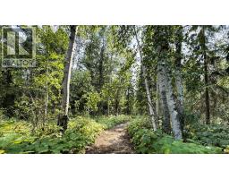 2434 Kettleston Road, Golden, BC V0A1H1 Photo 49