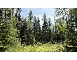 2434 Kettleston Road, Golden, BC V0A1H1 Photo 53