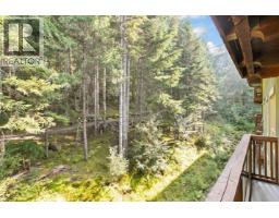 310g2 4653 Blackcomb Way, Whistler, BC V8E0Y9 Photo 7