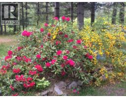 4826 Fletcher Creek Frontage Road, Fletcher Creek, BC V0G1M0 Photo 55