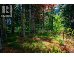 4826 Fletcher Creek Frontage Road, Fletcher Creek, BC V0G1M0 Photo 70