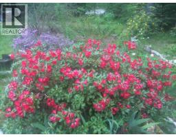 4826 Fletcher Creek Frontage Road, Fletcher Creek, BC V0G1M0 Photo 58