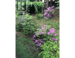 4826 Fletcher Creek Frontage Road, Fletcher Creek, BC V0G1M0 Photo 60