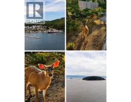 661 Cains Way, Sooke, BC V9Z1C6 Photo 83