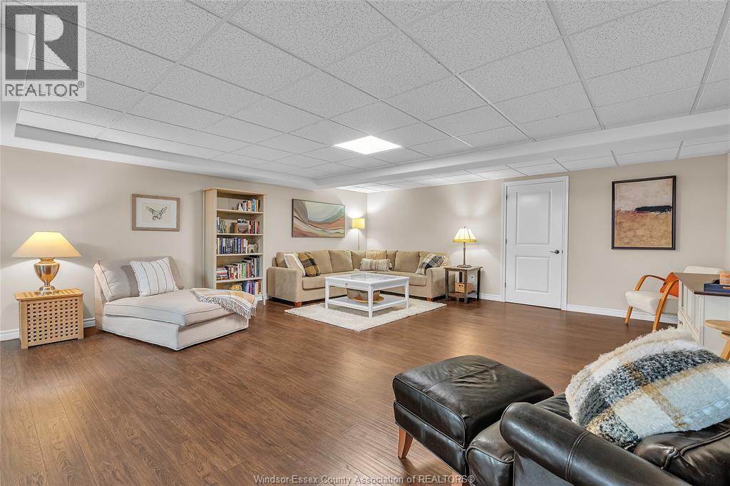 2 PRIMROSE - Image 30