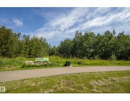 #312 7471 May Cm Nw, Edmonton, AB T6X1E9 Photo 48