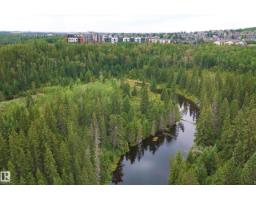 #312 7471 May Cm Nw, Edmonton, AB T6X1E9 Photo 62