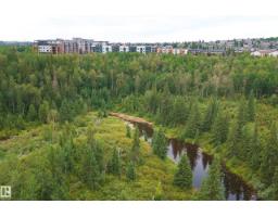 #312 7471 May Cm Nw, Edmonton, AB T6X1E9 Photo 63