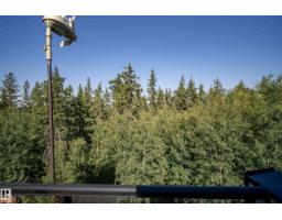 #16 1304 Rutherford Rd Sw, Edmonton, AB T6W0B4 Photo 43