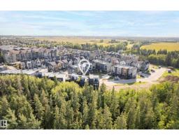 #16 1304 Rutherford Rd Sw, Edmonton, AB T6W0B4 Photo 50