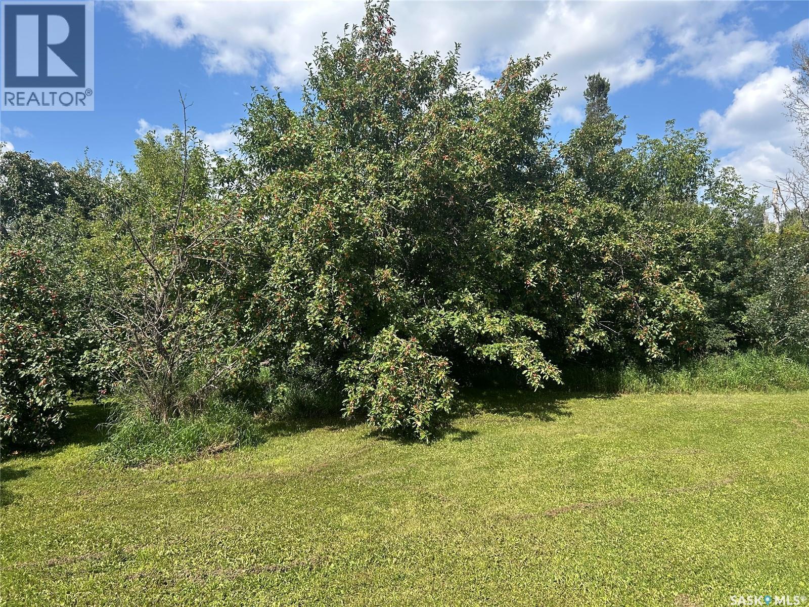Dzurka Acreage - Image 53