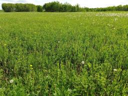 0 Sw 14 & Se 15-23-13w Road, Ste Rose Du Lac, MB R0L0S0 Photo 23