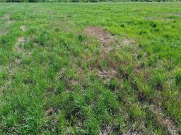 0 Sw 14 & Se 15-23-13w Road, Ste Rose Du Lac, MB R0L0S0 Photo 21