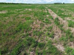 0 Sw 14 & Se 15-23-13w Road, Ste Rose Du Lac, MB R0L0S0 Photo 20
