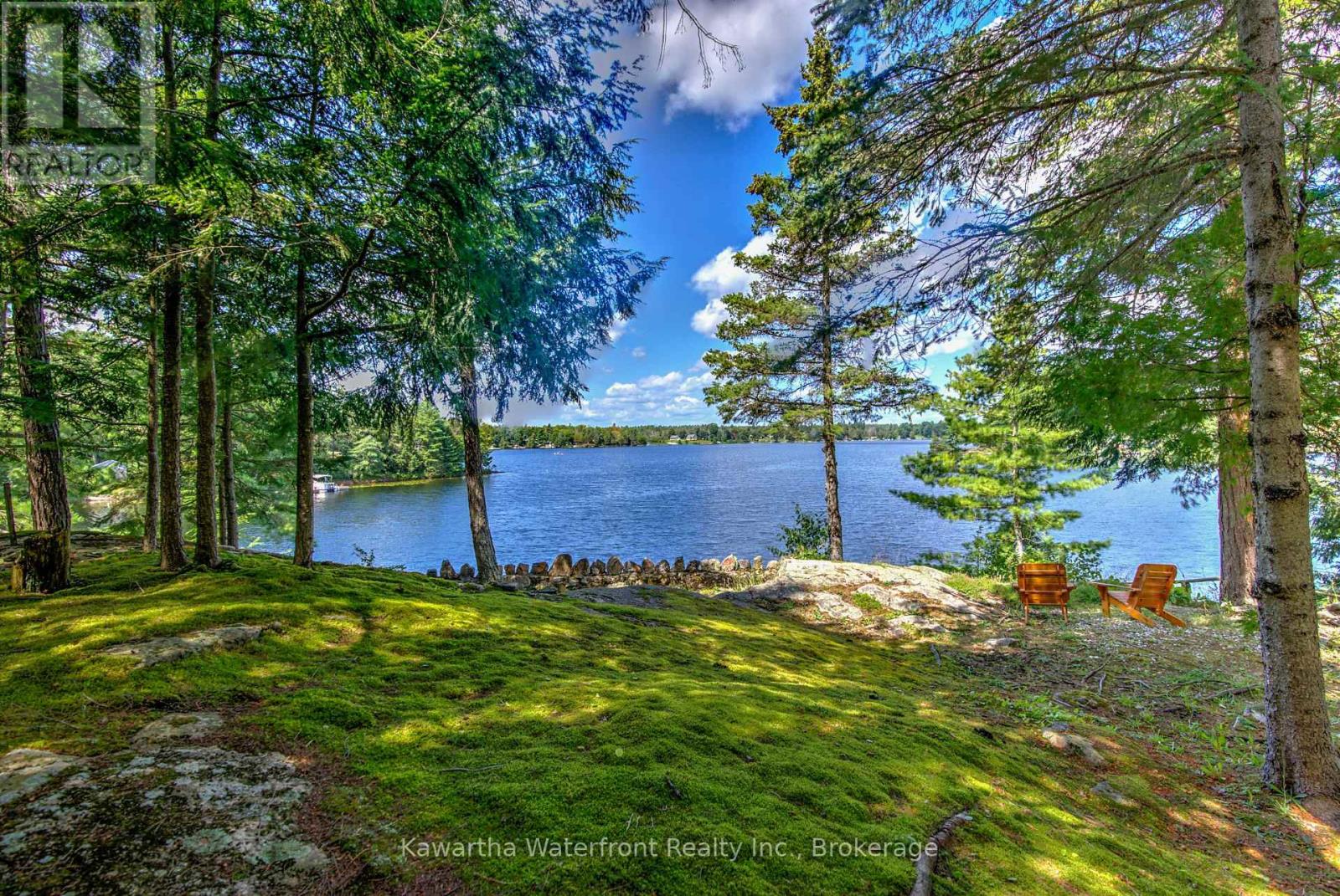 31 BUCK LANE - Image 6
