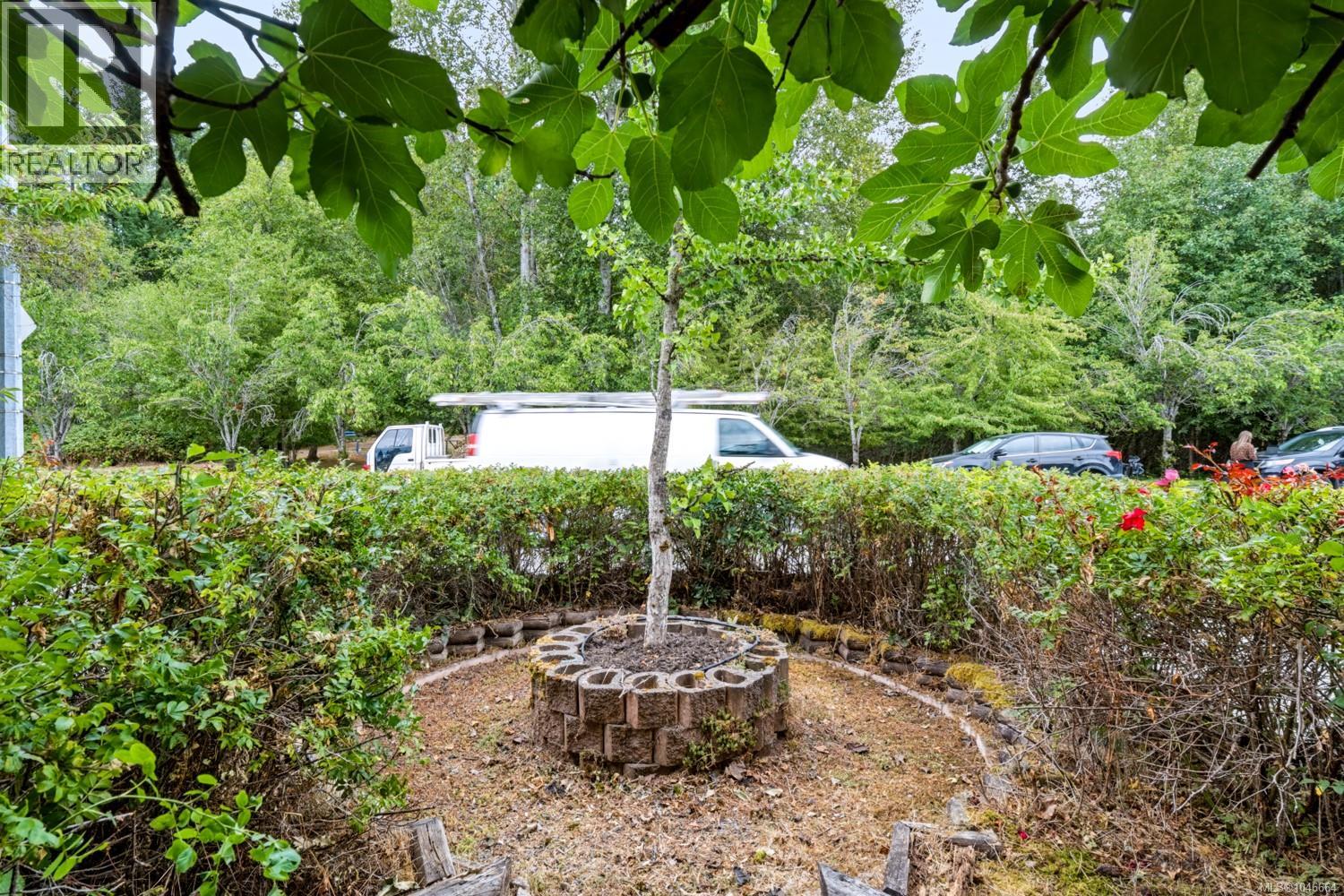 1001 Timberwood Dr - 35