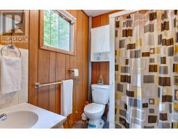 27a Maple Grove Lane, North Algona Wilberforce, ON K0J1T0 Photo 25
