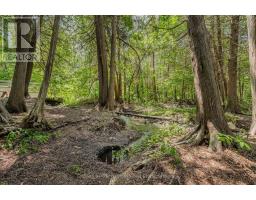 7530 Macpherson Lane, Puslinch, ON N0B2J0 Photo 44