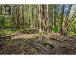 7530 Macpherson Lane, Puslinch, ON N0B2J0 Photo 45