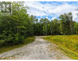 106 Golf Course Road, Magnetawan, ON P0A1P0 Photo 7
