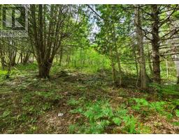 106 Golf Course Road, Magnetawan, ON P0A1P0 Photo 12