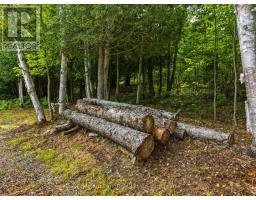 106 Golf Course Road, Magnetawan, ON P0A1P0 Photo 14