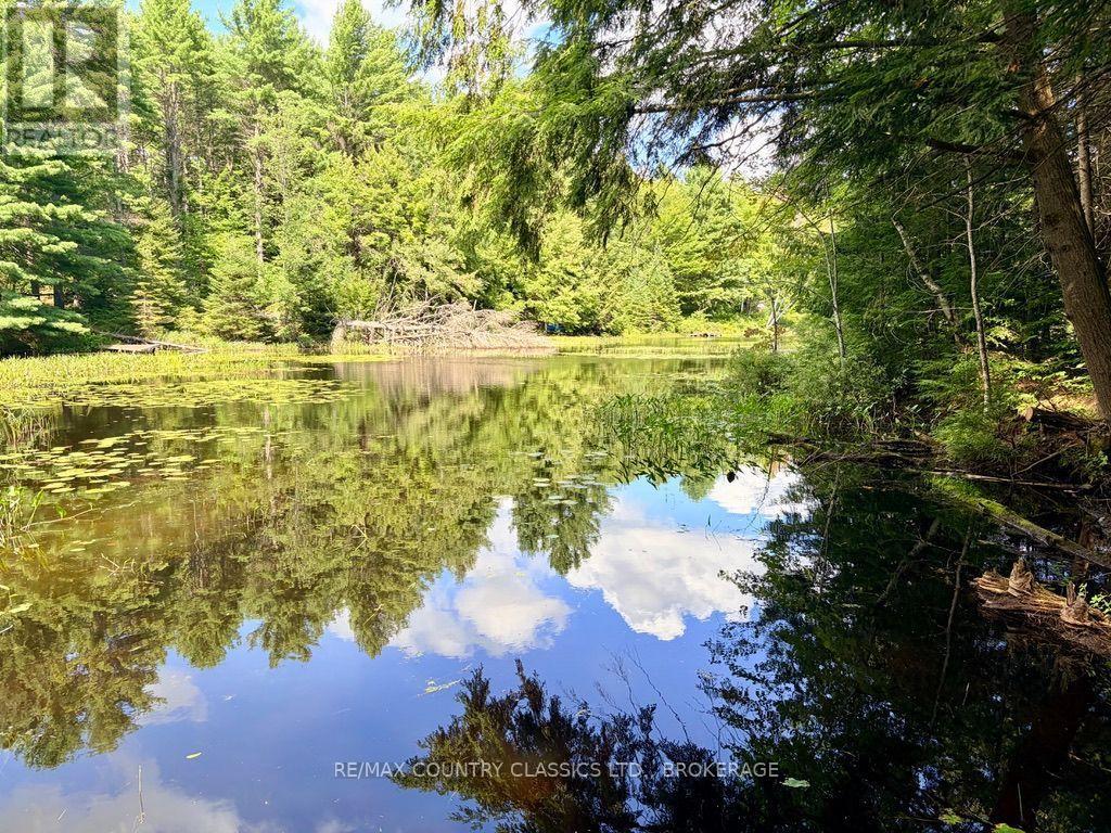 1068C JACQUES BAY ROAD - Image 35
