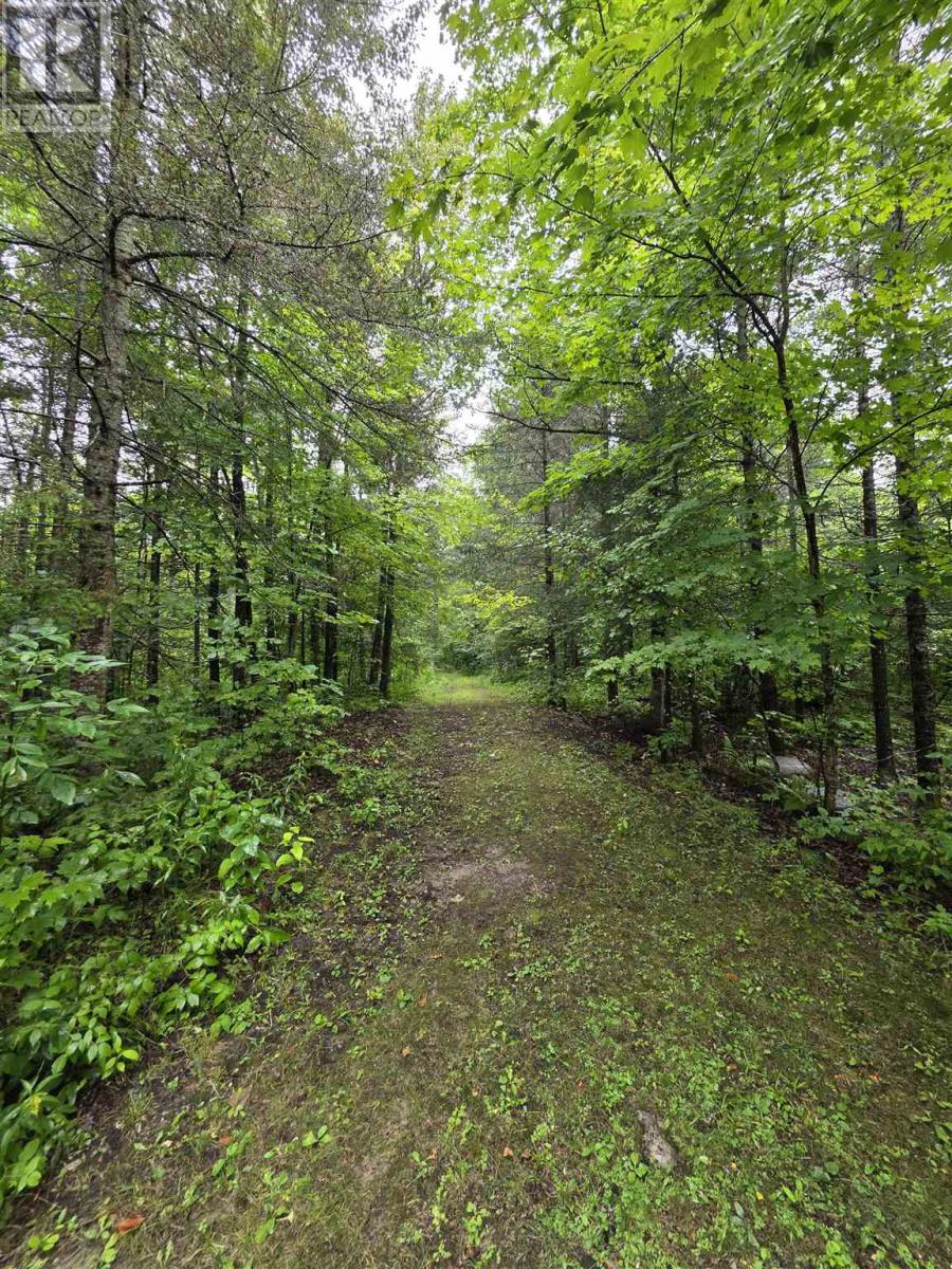 5377 Ellwood BLVD - 10