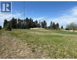 36 Bruhn Bend, Rural Ponoka County, AB T0C2J0 Photo 10