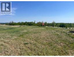36 Bruhn Bend, Rural Ponoka County, AB T0C2J0 Photo 8