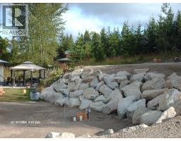 384 6 Highway S, Nakusp, BC V0G1R1 Photo 13