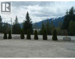 384 6 Highway S, Nakusp, BC V0G1R1 Photo 19