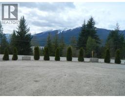 384 6 Highway S, Nakusp, BC V0G1R1 Photo 21