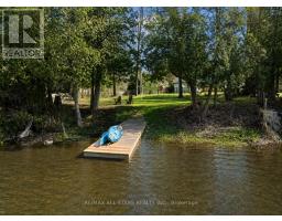 127 Pinecrest Road, Georgina, ON L0E1N0 Photo 37