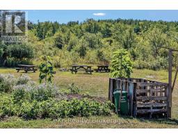 58111 12th Line, Meaford, ON N4L1W5 Photo 27