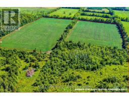 58111 12th Line, Meaford, ON N4L1W5 Photo 30