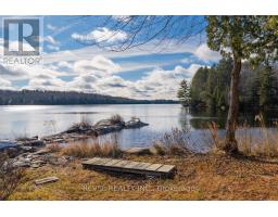 300 Green Lane, Whitestone, ON P0A1G0 Photo 28
