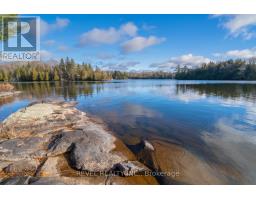300 Green Lane, Whitestone, ON P0A1G0 Photo 30