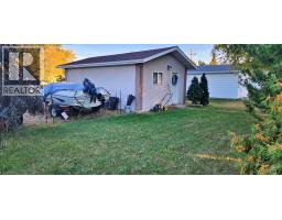 Furnace - 5111 53 Street, Mannville, AB T0B2W0 Photo 6