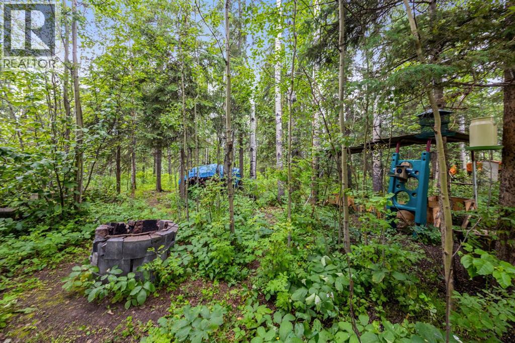 205 Cheecham Drive - Image 33